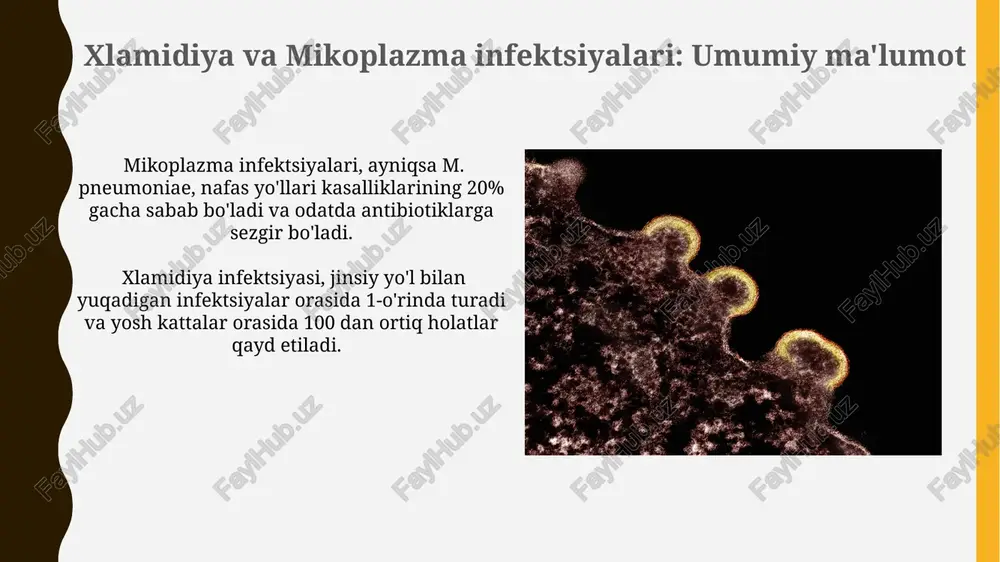 xlamidiya va mikoplazma infektsiyalari - Page 4