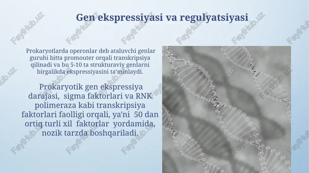 prokariot genomi strukturasi - Page 4