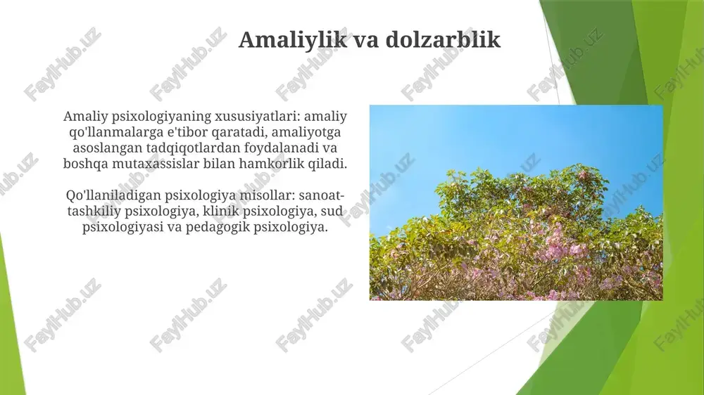 amaliy psixologning xususiyatlari - Page 4