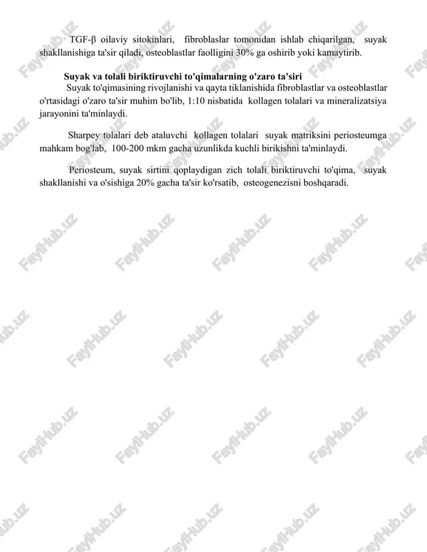 uzadi. suyak va tolali to'qima o'rtasidagi signalizatsiya yo'llari suyak-tolali to'qima chegarasida, integrinlar kabi hujayra yuzasidagi retseptorlar orqali mexanik kuchlar, suyak rivojlanishi va remodellashini boshqaruvchi signalizatsiya kaskadlarini yo'lga qo'yadi. suyak hujayralari, osteoblastlar, wnt signalizatsiya yo'li orqali 20 dan ortiq turdagi sitokinlarni ajratib, yaqin atrofdagi fibroblaslarning differensiatsiyasi va kollagen sintezini tartibga soladi. tgf-β oilaviy sitokinlari, fibroblaslar tomonidan ishlab chiqarilgan, suyak shakllanishiga ta'sir qiladi, osteoblastlar faolligini 30% ga oshirib yoki kamaytirib. suyak va tolali biriktiruvchi to'qimalarning o'zaro ta'siri suyak to'qimasining rivojlanishi va qayta tiklanishida fibroblastlar va osteoblastlar o'rtasidagi o'zaro ta'sir muhim bo'lib, 1:10 nisbatida kollagen tolalari va mineralizatsiya jarayonini ta'minlaydi. sharpey tolalari deb ataluvchi kollagen tolalari suyak matriksini periosteumga mahkam bog'lab, 100-200 mkm gacha uzunlikda kuchli birikishni ta'minlaydi. periosteum, suyak sirtini qoplaydigan zich tolali biriktiruvchi to'qima, suyak shakllanishi va o'sishiga 20% gacha ta'sir ko'rsatib, osteogenezisni boshqaradi. 📌xulosa suyak va tolali biriktiruvchi to'qimalarning o'zaro ta'siri suyakning shakllanishi, o'sishi va ta'mirlanishida muhim rol o'ynaydi, ularning …