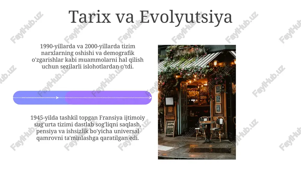 fransiyada ijtimoiy himoya tizimi - Page 4