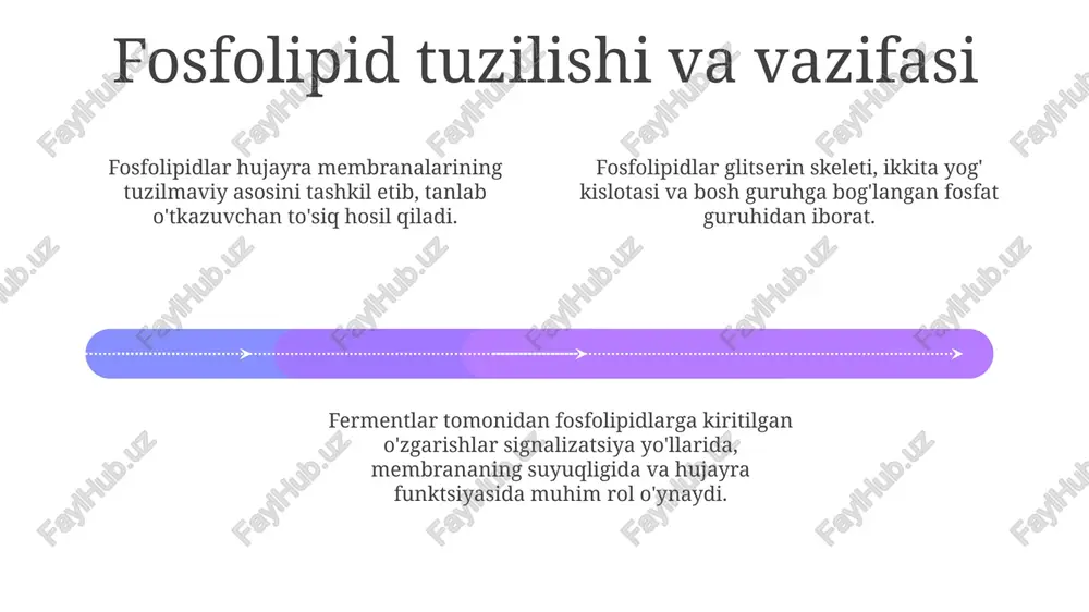fosfolipidlar va fermentlar - Page 4