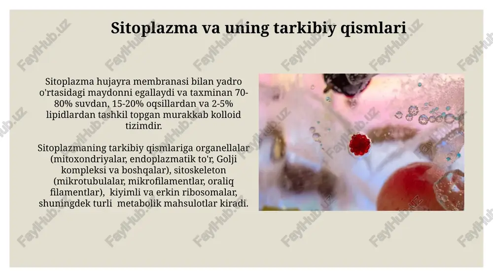 sitologiya va hujayra haqidagi fan - Page 4