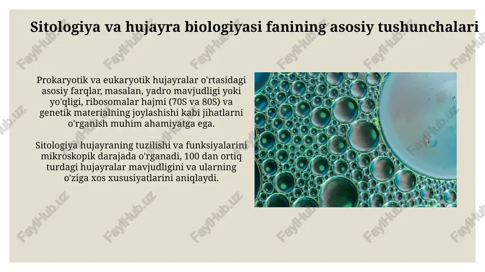 sitologiya va hujayra haqidagi fan - Page 4