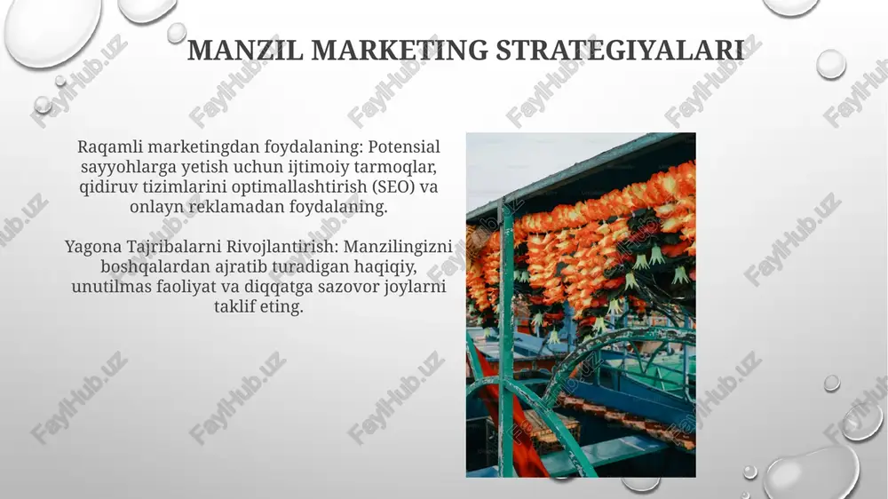 turistik bozorlar - Page 4