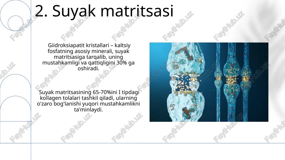 li, taxminan 20 hafta davom etadi. e'tiboringiz uchun rahmat @taqdimot_robot image1.png image2.jpg image3.jpg image4.jpg image5.jpg image6.jpg image7.jpg image8.jpg image9.jpg image10.jpg image11.jpg image12.jpg image13.jpg image14.jpg image15.jpg image16.jpg