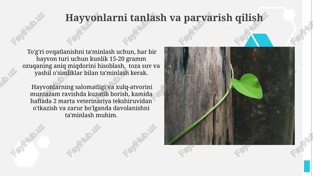tabiat burchagida qo'yiladigan talablar - Page 4