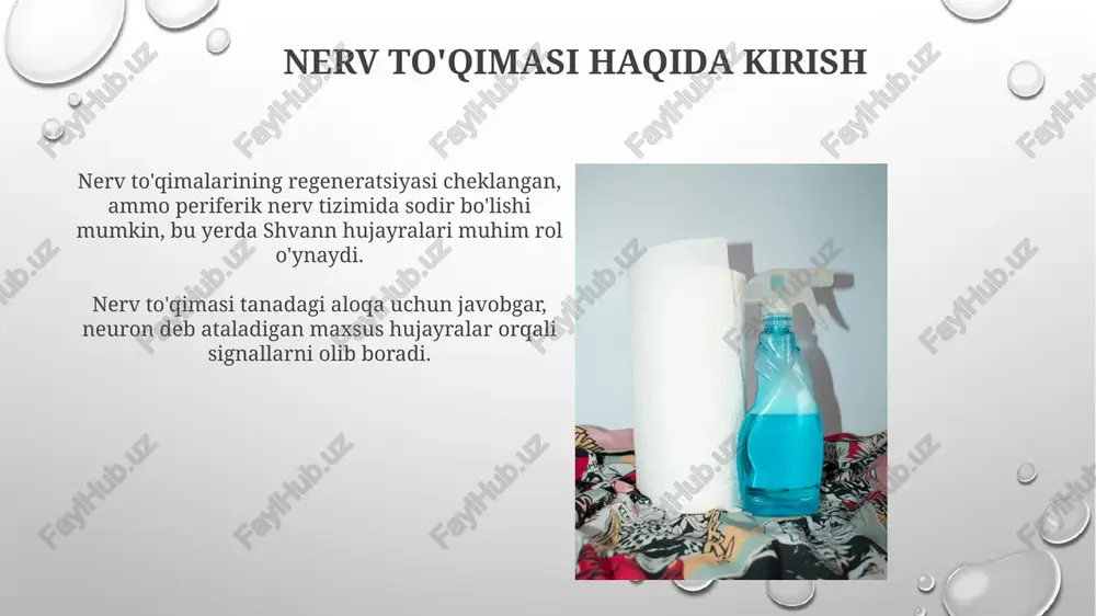 nerv to'qimasi regeneratsiyasi - Page 4