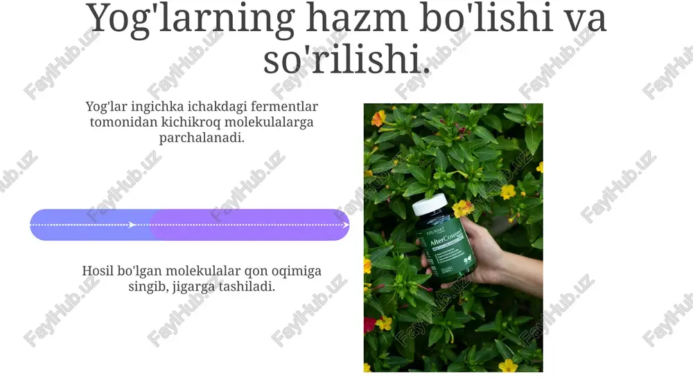 lipidlar almashinuvi - Page 4