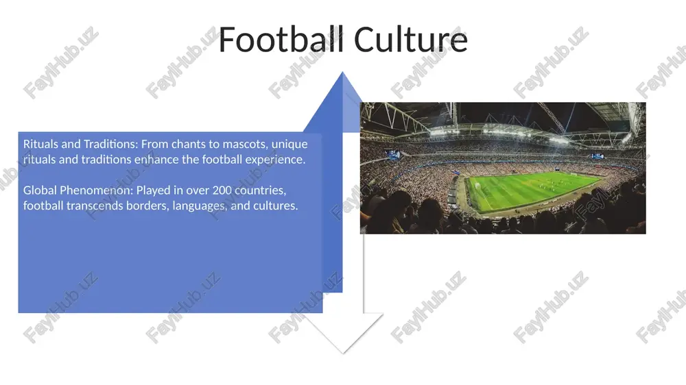 information about football - Page 4