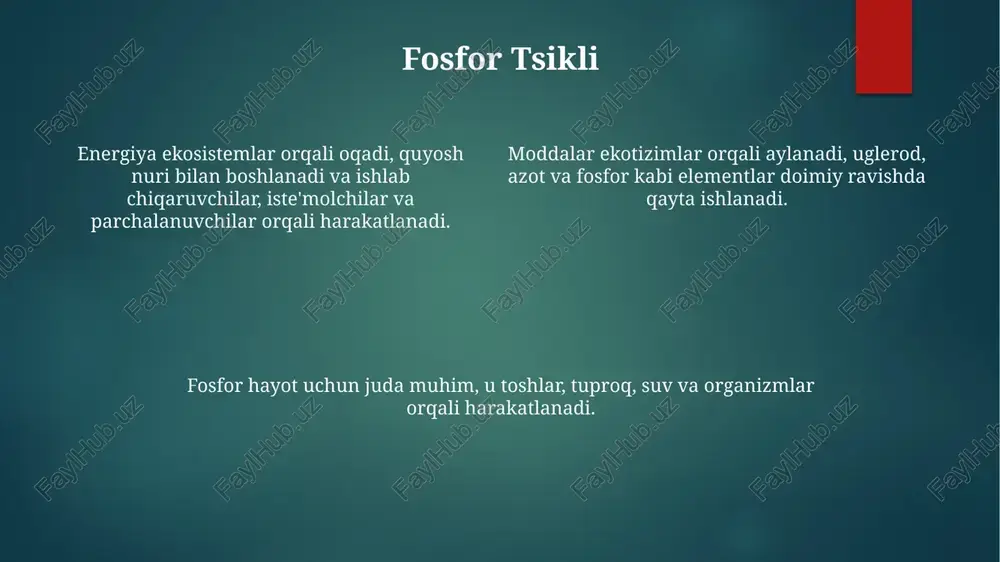 biosferada energiya va moddalarning aylanma harakati - Page 4