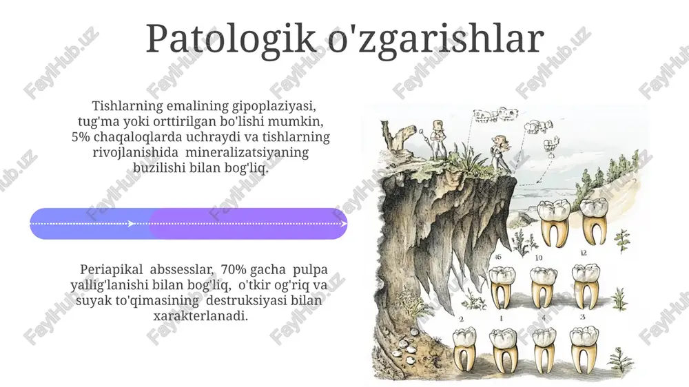 hi tishlarning emailining to'liq mineralizatsiyasi taxminan 2-3 yil davom etadi va individual tishlarning hajmi va shakliga bog'liq holda o'zgaradi. tishlarning email tizimining shakllanishi embrion rivojlanishining 6-haftasida boshlanadi va ameloblastlar tomonidan emalning birinchi qatlamini hosil qilish bilan yakunlanadi. yoshga bog'liq o'zgarishlar 60 yoshdan keyin tishlarning pulpa bo'shlig'ining hajmi kamayadi, dentinning sekundar dentin bilan to'ldirilishi kuzatiladi, bu esa og'riq sezgirligiga ta'sir qilishi mumkin. 30-40 yosh oralig'ida periodontit rivojlanish xavfi ortadi, bu esa tishlar atrofidagi to'qimalarning yallig'lanishi va suyak to'qimasining yo'qolishi bilan tavsiflanadi. e'tiboringiz uchun rahmat @taqdimot_robot image4.jpg image5.jpg image6.jpg image7.jpg image8.jpg image9.jpg image10.jpg image11.jpg image12.jpg image13.jpg image14.jpg image15.jpg image16.jpg image17.jpg image18.jpg image19.jpg image20.jpg image1.jpeg image2.jpeg image3.jpeg