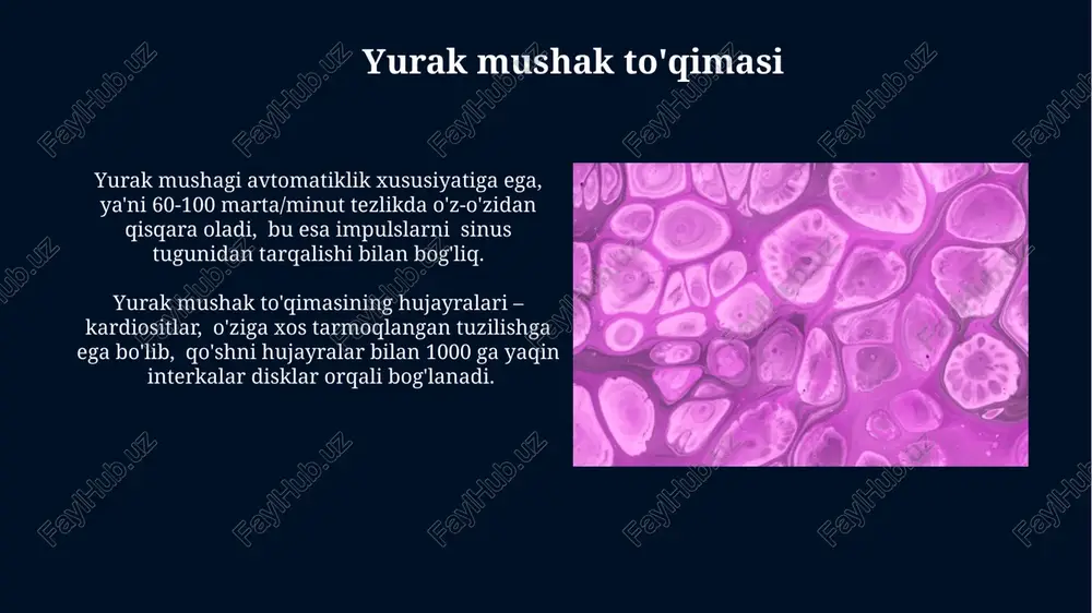 suyak to'qimasi - Page 4