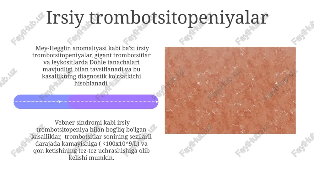 trombotsitopeniyalar (nasliy va orttirilgan) - Page 4