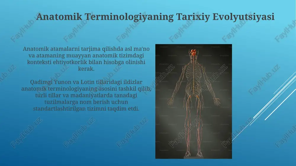 anatomik iboralarning tarjimasi - Page 4
