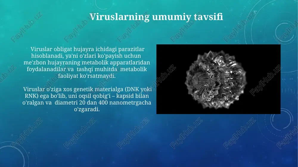 agi molekulalar kiradi, bu esa virusning hujayra membranasiga birikishi va penetratsiyasi jarayonlariga ta'sir koʻrsatadi. rnk viruslari rnk viruslari, masalan, gripp virusi kabi, 8 ta rnk segmentiga ega boʻlib, har biri oʻziga xos genlarni kodlaydi va virusning replikatsiyasi uchun muhim ahamiyatga ega. retroviruslar, hiv kabi, teskari transkripsiya jarayoni orqali rnk genomini dnk ga oʻzgartirib, mezbon hujayraning genomiga birlashtiradi. bu jarayon virusning uzoq muddatli infektsiyasiga olib keladi. virus oqsillari ba'zi virus oqsillari, masalan, glyukoproteinlar, virusning mezbon hujayraga birikishi va kirib borishida muhim rol o'ynaydi, ularning tuzilishi yuqori darajada o'zgaruvchan bo'lishi mumkin. virus kapsidini hosil qiluvchi oqsillar – kapsomeralar, o'ziga xos simmetriya va geometrik shakllarga ega bo'lib, ularning soni va joylashishi virus turiga bog'liq, masalan, icosahedral yoki helical. e'tiboringiz uchun rahmat @taqdimot_robot image3.png image4.jpg image5.jpg image6.jpg image7.jpg image8.jpg image9.jpg image10.jpg image11.jpg image12.jpg image13.jpg image14.jpg image15.jpg image16.jpg image17.jpg image18.jpg image19.jpg image20.jpg