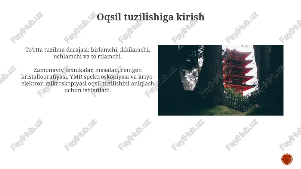 kriyo-elektron mikroskopiyasi - Page 4