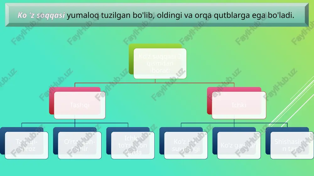y turganda atrofdagi buyumlarni, ularning rangini ko'ra olish xususiyati (markaziy va chetki ko'rish yig'indisi) ko'zning har xil rangdagi buyumlarni ko'rish maydoni bir xil bo'lmaydi. oq rangni ko'rish maydoni eng katta, ko'k va sariq ranglarni ko'rish maydoni undan kichikroq, qizil va yashil ranglarni ko'rish maydoni yanada kichik bo'ladi. ko'zning har xil ranglarni ko'rish maydoni turlicha bo'lishi to'r qavatning turli qismlarida tayoqchasimon va kolbachasimon retseptorlar har xil joylashishiga bog'liq. ko'zning ko'rish maydoni chegarasi o’lchash asbobi perimetr ko'rish a'zosi funksiyasining buzilishi yaqindan ko’rish (miopiya) odamning ko'z soqqasi cho'ziqroq shaklda bo'ladi. shuning uchun uzoqdagi buyumlar tasviri ko'zning to'r pardasiga emas, balki undan oldinroqqa tushadi. natijada uzoqdagi buyumlarning tasviri aniq ko'rinmaydi. bu holat ko'z gavharining do'ngligi ortib ketishi oqibatida ham yuzaga kelishi mumkin. uzoqdan ko’rish (gipermetropiya) bunday odamlarda ko'z soqqasi qisqaroq bo'ladi. bunda yaqindagi buyumlarning tasviri ko'z to'r pardasiga emas, balki uning orqasiga tushadi. uzoqdan ko'rishning ikkinchi sababi ko'z gavhari do'ngligining kamayishidir. daltonizm ranglarni farqlay …