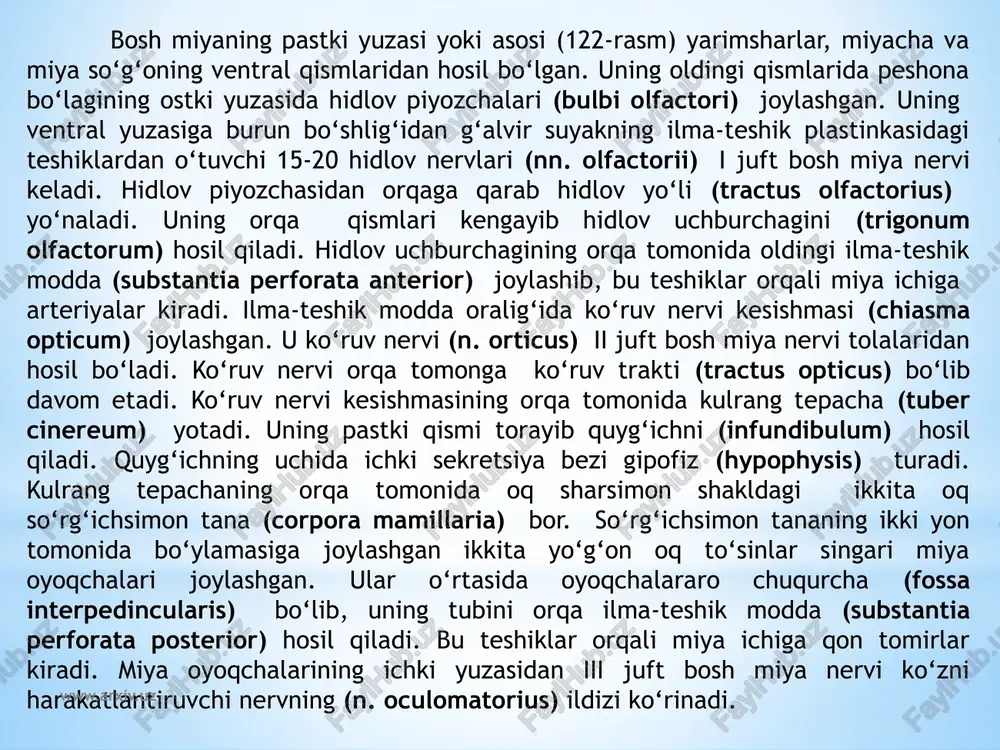 ida. yuqori chegarasi old yuzasida ko‘prikning pastki chekkasida bo‘lsa, orqa yuzasida miya hoshiyalariga to‘g‘ri keladi. uzunchoq miyaning yuqori qismlari kengayib piyozcha shaklini olgani uchun uni miya piyozchasi (bulbus cerebri) deb ham ataladi. www.arxiv.uz uzunchoq miya eshituv va muvozanat a’zolari, hamda qon aylanish va nafas a’zolariga bog‘liq bo‘lgan jabra apparatlari bilan aloqada paydo bo‘ladi. shuning uchun unda muvozanat va harakatni muvofiqlashtirish, modda almashinuvini boshqaruvga aloqador bo‘lgan kulrang o‘zaklar joylashgan. uzunchoq miyaning uzunligi o‘rtacha 2,5 sm. unda oldingi, orqa va yon yuzalari tafovut qilinib, ular o‘zaro egatlar yordamida ajralib turadi. bu egatlar orqa miya egatlarining davomi bo‘lib, o‘sha nomlar bilan ataladi. uzunchoq miyaning ventral yuzasidagi oldingi o‘rta yoriqni (fissura mediana anterior) ikki tomonida bo‘rtib chiqqan piramidalar (pyramis medullae oblangatae) joylashgan. piramidalar harakatlantiruvchi nerv tolalaridan iborat bo‘lib, orqa miyaga o‘tish joyida qisman kesishib, piramidalar kesishmasini (decussatio pyramidum) hosil qiladi. kesishgan . uzunchoq miyaning kesmasi. 1-nucleus tractus solitari; 2-pedunculus cerebellaris inferior; 3-nucleus tractus spinalis …