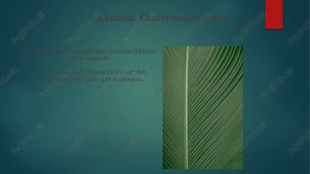 kanada: superlativlar yurti - Page 4