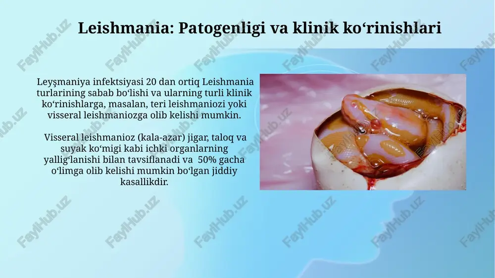 trichomonas: diagnostikasi va davolash usullari - Page 4