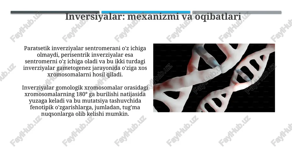xromosoma mutatsiyalariga doir masala va mashqlar - Page 4