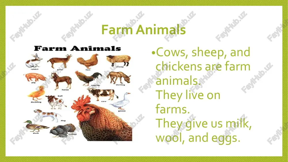 animals - Page 4