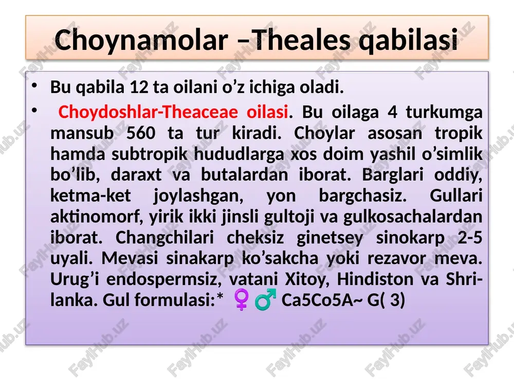 a hosil bo’lgandan keyin ham to’kilib ketmay, sharsimon bo’lib to’planib turadi. bolqin - (myricaria) - chala buta bo’yi 1-2 m barglari bandsiz, tuxumsimon - lantset shaklida. to’pguli boshoqsimon, 5-20 sm, yosh novdalarda hosil bo’ladi. gulkosa va tojibarglari 5 tadan, changchilari 10 ta, ustunchasi 3 ta. daryo vodiylaridagi shag’alli yerlarda o’sadi. qovoqnamolar qabilasi –cucurbitales qovoqdoshlar oilasi –cucurbitaceae. qabilaga bitta qovoqdoshlar oilasi kiradi. oilaning 90 ga yaqin turkum, 700 ga yaqin turi bor. o’zbekistonda 3 ta turkumga mansub, 5 ta turi o’sadi. hayot shakliga ko’ra, bu oila vakillari bir, ko’p yillik o’rmalab o’suvchi o’tlar, yarim buta, buta va kichik daraxtlardir. barglari oddiy, ketma-ket joylashgan. gullari aktinomorf, bir jinsli, bir yoki ikki uyli o’simliklar bo’lib, gulqo’rg’oni murakkab, changchilari 3 - 5 ta, urug’chisi 3 ta mevabargli, mevasi yirik, soxta, rezavorsimon qovoq meva yoki kam hollarda ko’sakcha bo’ladi. qovoqdoshlar oilasining o’ziga xos belgilaridan biri mevasining tashqi - ekzokarp qavatining qattiq yog’ochlashgan, mezo va endokarp …