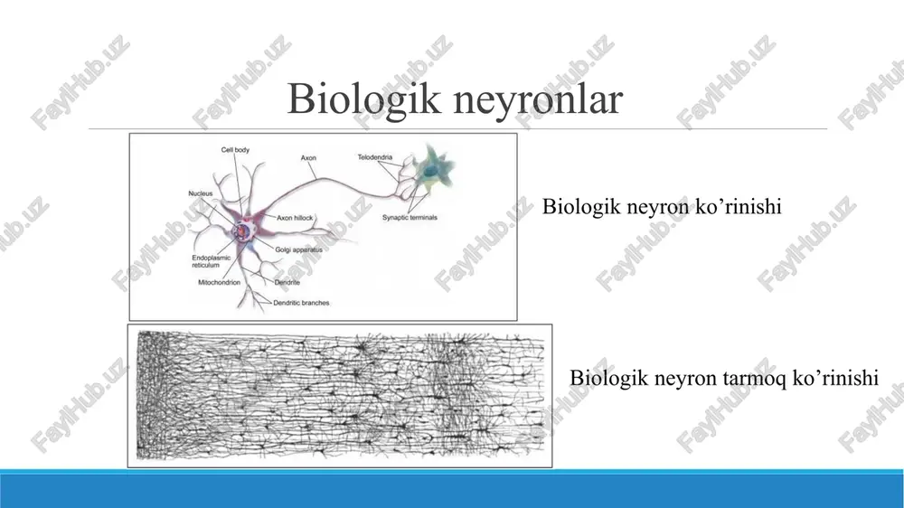 tlam va og’irlik koeffitsentlari berilgan kiruvchi qatlam va og’irlik koeffitsentlarining matritsa ko’rinishi yashirin qatlam va og’irlik koeffitsentlari perceptron natija berilgan tasvir piksel qiymatlaridan kelib chiqib qaysi sinfga tegishli ekanligini aniqlaydi perceptron bu – 2 ta qatlamdan iborat ya’ni kiruvchi va chiquvchi qatlamdan iborat bo’lgan neyronni hisoblash tuguni. har bir perceptron sodda sinflash masalasini yechishda qo’llaniladi. mashinali o’qitish va neyron tarmoqlari uchun python dasturlash tili paketlari # modul nomi maqsadi 1 numpy vektor va matritsalar ustida amallar bajarish, matematik amallar va trigonametrik funksiyalardan foydalanish 2 scipy python uchun ilmiy kutubxona 3 scikit-learn mashinali o’qitish, regressiya, sinflash va klasterlash uchun zarur bo’lgan funksiyalardan foydalanish 4 matplotlib turli xil matematik funksiya grafiklarini va tasvirlarni vizuallashtirish (plotting) uchun ishlatiladigan funksiyalar 5 opencv-python kompyuter ko’rishi, tasvirlarga raqamli ishlov berishda ishlatiladigan funksiyalardan foydalanish 6 pandas ma’lumotlar strukturasi, vaqtli qatorlar, statistik tahlilni amalga oshirishda zarur bo’ladigan funksiyalardan foydalanish 7 keras neyron tarmog’ini qurish, chuqur o’qitish algoritmlaridan foydalanish …