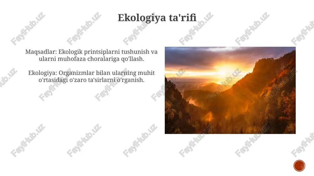 ekologiya va tabiatni muhofaza qilish - Page 4