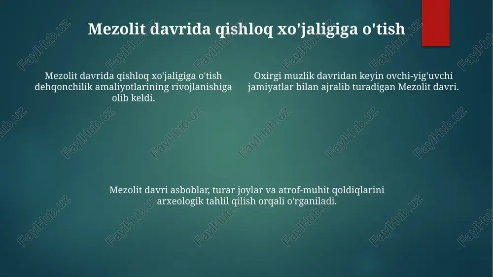 mezolit davri va uning oʻrganilishi - Page 4