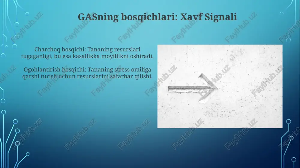 umumiy adaptatsiya sindromi - Page 4