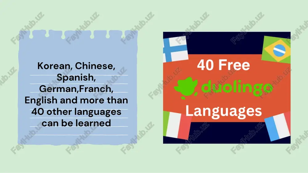 duolingo app - Page 4