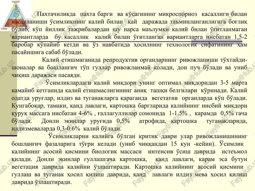 ida 0,65 karam mevasida 4,6 bug'doy somonida 1,10 sabzi mevasida 3,2 makkajo'xori donida poyasida 0,43 1,93 10 ts hosil uchun galla ekinlari 25-37 kg, dukkakli ekinlar 15-20 kg, kartoshka 7-10 kg, xashaki va qand lavlagi 6,0 8,0 kg sabzavotlar 5-4 kg, 40-60 kg kaliy iste'mol qiladi. asosiy qishloq xo'jalik ekinlari hosilidagi kaliy iqdori ekinlar mahsulot, t/ga umumiy olib chiqib ketish, k2o, kg/ga tovar qo'shimcha g'alla ekinlari kartoshka qand lavlagi karam beda (pichan) kungaboqar 2-2,5 20,0 30 70 10 1,8 4-6 12,0 20 40 - 7,5 45-77 200 175 310 150 360 kaliy elementining yetishmaslik belgilari 1-makkajo’xori; 2-tariq; 3-loviya; 4-oq jo’xori; 5-soya; 6-grechixa; 7-suli; 8-ko’k no’xat kaliy yetishmaslikning belgilari 1-karam: 2-kungaboqar; 3-xashaki lavlagi «peragis»; 4-xashaki lavlagi «ekkendorfskaya jeltaya»; 5-kungaboqar yosh o’simligi, keskin yetishmaslik; 6-lyupin (bo’ri dukkachi) kaliy elementining yetishmaslik belgilari 1-kartoshka; 2-qand lavlagi; 3-nasha; 4 va 5 – g’o’za; 6-yer noki; 7-tamaki; 8-zig’ir kaliy yetishmasligining belgilari 1-gilos; 2-olma; 3-nok; 4-shaftoli (barg …