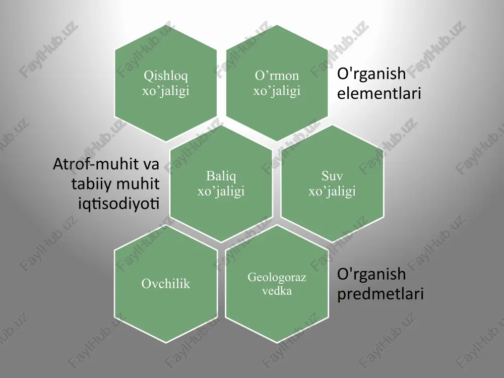 chasi iqtisodiy fanlar va falsafaning ko‘plab boshqa sohalaridagi g‘oyalarni o‘z ichiga oladigan tabiat va jamiyat bilan bog‘liq ekologik iqtisodiyot, atrof-muhit iqtisodiyoti, resurslarga asoslangan iqtisodiyot, aholining rivojlanishi, feminizm iqtisodiyoti kabi yashil siyosat bilan bog‘liq iqtisodiyotni o‘z ichiga oladi. yashil iqtisodiyot bu iqtisodiy tizim bo‘lib, uning asosiy maqsadi sayyoramizning ekologiyasi va uni saqlab qolish bilan birga iqtisodiyotning barcha sohalarini rivojlantirishga qaratilgan. shunday qilib yashil iqtisodiyot deganda, inson hayoti va sog‘lig‘i uchun zarur bo‘lgan resurslarni, atrof-muhit va ekologiyani bir butun holda saqlab qolib ishlab chiqarish va xizmat ko‘rsatish sohalari bilan bog‘liq iqtisodiyotni yanada rivojlantirishni amalga oshirishga asoslangan iqtisodiy faoliyatning yangi yo‘nalishi tushuniladi. yashil iqtisodiyot oldida turgan vazifalar birinchidan, aholining ehtiyojlarini qondirib, ularning farovonligi, yashash darajasi va sifatini oshirish uchun moddiy ne’matlarni yaratishni barqaror ravishda ekologiya va atrof-muhitga zarar yetkazmasdan ko‘paytirib borish lozim. ikkinchidan, ishlab chiqarish va iqtisodiyotni rivojlantirish uchun energiya resurslari kerak bo‘ladi, bularni qayta tiklanadigan energiya manbalari hisobidan ko‘paytirish, jamoat transportini ham …