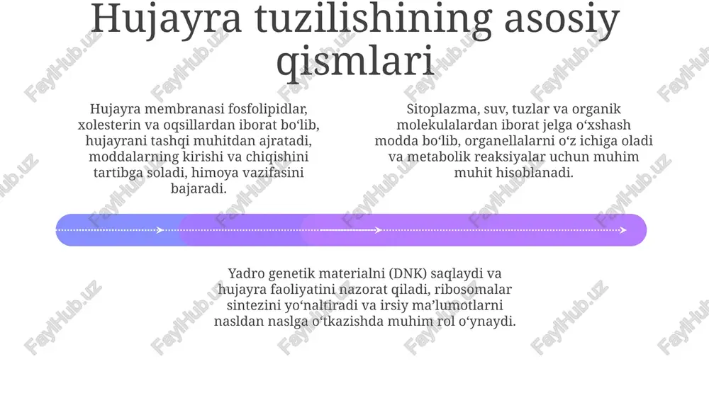 hiradi, ammo ularning asosiy energiya ishlab chiqaruvchi organellasi xloroplastdir. hayvon hujayralarida energiya mitoxondriyalarda hujayra nafas olishi orqali ishlab chiqariladi, glyukoza va boshqa molekulalar atp (adenozin trifosfat) ga aylanadi. hujayra bo'linishi add text add text add text add text add text add text mitoz to'rt fazaga bo'linadi: profaza, metafaza, anafaza va telofaza. har bir faza o'ziga xos xususiyatlarga ega, masalan, metafazada xromosomalar ekvatorial tekislikda joylashadi va anafazada qutblarga ajraladi. hujayra bo'linishi ikki asosiy turga bo'linadi: mitoz va meyoz. mitoz bir hujayradan ikkita genetik jihatdan bir xil hujayra hosil qiladi, shu sababli xromosomalar soni o'zgarmaydi, ya'ni 2n bo'lib qoladi. meyoz esa jinsiy hujayralar (gametalar) hosil bo'lishida ishtirok etadi va xromosoma sonini ikki marta kamaytiradi, ya'ni 2n dan n ga. bu jarayon genetik xilma-xillikni ta'minlaydi va ikki bosqichda kechadi: meyoz i va meyoz ii. harakatlanish 01 02 03 hayvon hujayralari odatda butun organizmning harakatlanishi uchun maxsus tuzilmalarga ega, masalan, 40 trilliondan ortiq hujayradan …