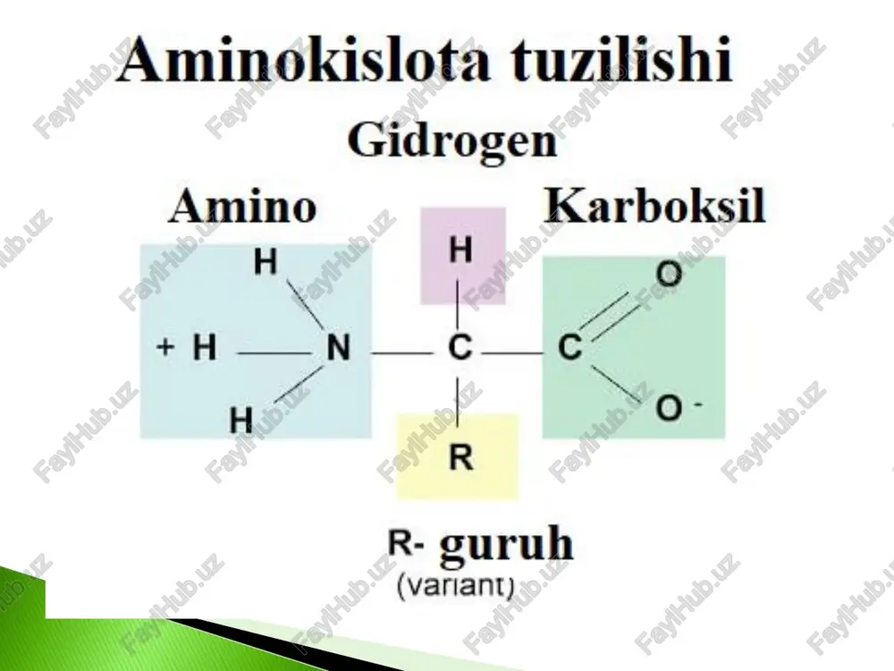aminokislotalar biosintezi texnologiyasi - Page 4