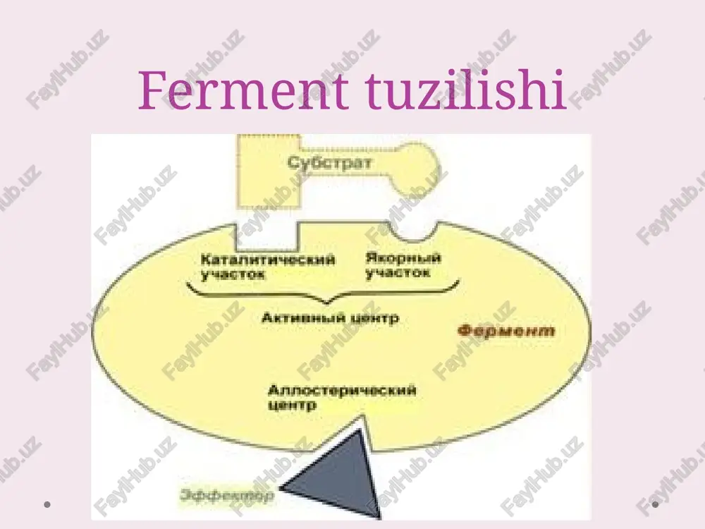 n cheklagan holda , lekin ularning katalitik xususiyatlarini saqlab qolgan fermentlar. immobilizatsiyalangan fermentlarning afzalliklari: ular reaksiya muhitidan osongina ajratiladi , bu esa istalgan vaqtda reaksiyani to'xtatish, fermentni qayta ishlatish va fermentdan sof mahsulot olish imkonini beradi. 2. qayta-qayta foydalanish mumkin . ancha barqaror va bardoshli erkin fermentlar. immobilizatsiya usullari jismoniy kimyoviy immobilizatsiyaning fizik usullari : a – adsorbsiya; b - jelga qo'shilishi; c - inkapsulyatsiya ; d - lipozomalarga qo'shilish ; immobilizatsiyaning kimyoviy usullari : d – kovalent bog'lanish a b v g d fermentopatiya ozuqaviy irsiy ovqatlanish buzilishi proteinli ochlik mutatsiya tufayli image2.png image3.png image4.png image5.png image6.png image7.png image8.png image9.png image10.png image11.gif image12.png image13.jpeg image14.png image15.jpeg image16.jpeg image17.png image18.png image19.png image20.jpeg image21.png image22.png image23.png image24.png image25.png image26.png image27.jpeg image28.png /docprops/thumbnail.jpeg