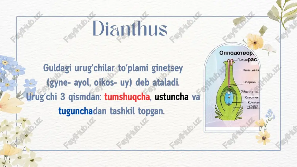 uzbekiston chinniguli - Page 4