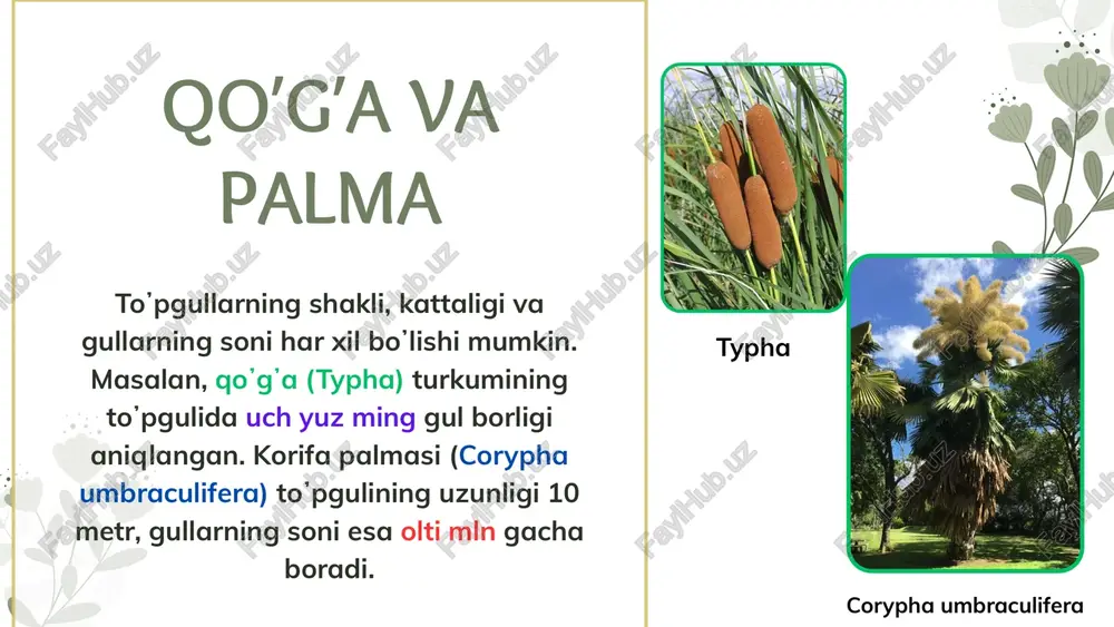 to`pgullar - Page 4