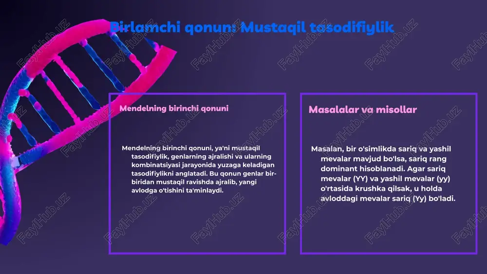 o'rtasidagi mustaqil merosni ko'rsatadi. - ikkilamchi qonunlar esa genlar o'rtasidagi bog'lanish va ularning birgalikdagi ifodalashini aniqlaydi. - birlamchi qonunlar faqat bitta xususiyatni ko'radi, ikkilamchi qonunlar esa bir necha xususiyatlarni bir vaqtning o'zida kuzatadi. - birlamchi qonunlar dominant va recessiv genlar orasidagi farqni ko'rsatadi, ikkilamchi qonunlar esa genlar o'rtasidagi aloqalarni ko'rsatadi. natijalar: mendelning qonunlariga asosan, irsiyatda xususiyatlar qanday o'zgarishini va ularning avlodlarga qanday o'tishini tushunish imkonini beradi. bu qonunlar, shuningdek, seleksiya jarayonlarini va yangi navlarni olishda muhim ahamiyatga ega. photo by national cancer institute on unsplash birlamchi qonunlar: asosiy misollar mendelning no'xat tajribasi genetik qonunlarni tasdiqlaydi. no'xatlarning turli xususiyatlari orqali merosning asosiy tamoyillari ko'rsatiladi. mendelning no'xat tajribalari birinchi qonunlarning asosiy ko'rsatkichlarini namoyish etadi. ular dominant va recessiv xususiyatlar o'rtasidagi farqlarni ko'rsatadi, masalan, qizil va oq rangli no'xatlar. no'xat tajribalaridan olingan natijalar grafiklar orqali ifodalanadi. grafiklar dominant xususiyatlarning tarqalishini va recessiv xususiyatlarning ko'rinishini tasvirlaydi. photo by national cancer institute on unsplash photo …