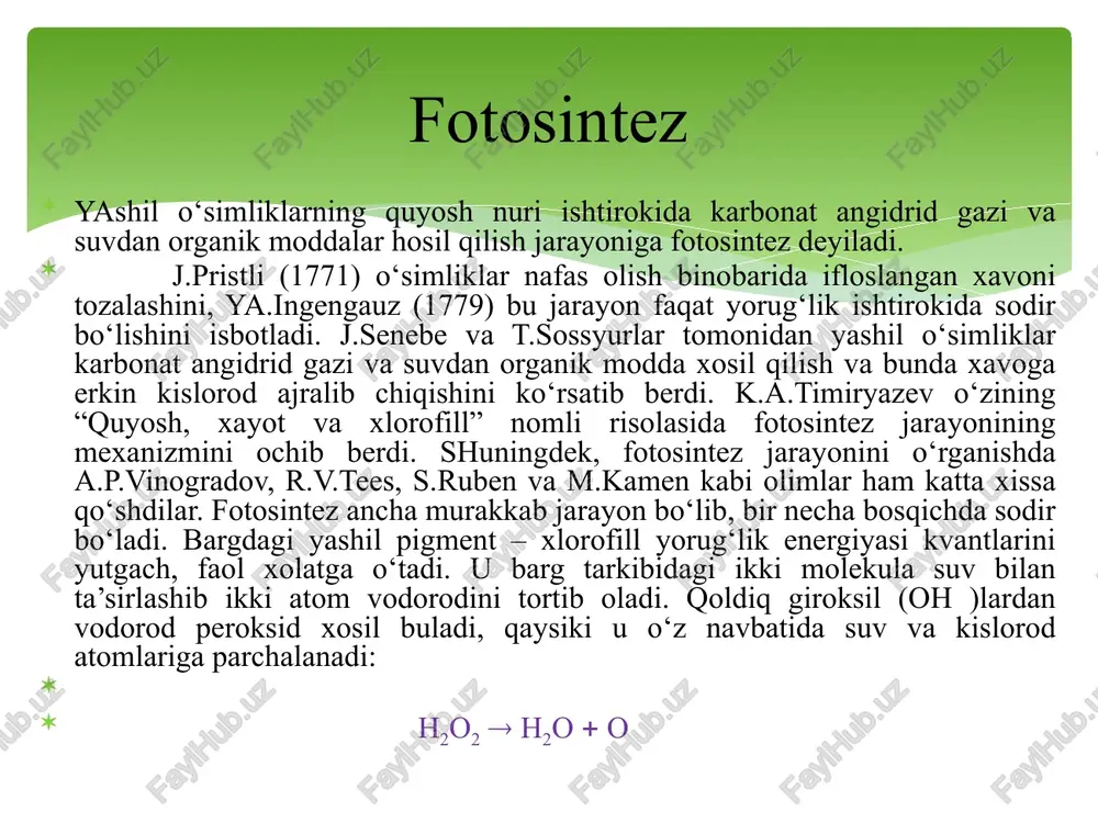 ta’sir qiladi, singdirish kompleksi, tsk) tomonidan almashinib singdirilgan oziqa ionlarini eritmaga siqib chiqaradi va suvda qiyin eriydigan birikmalarni qisman eritadi. 2. ildiz yuzasidagi bir qator fermentlar tuproqning mineral va organik moddalarini parchalash (gidroliz) da ishtirok etadi. 3. ildiz tizimining faol yuzasi bilan muloqotda bo‘ladigan tuproq eritmasi tarkibidagi ayrim tuzlar diffuziya yo‘li bilan yutiladi. 4. diffuziya va ionlarning almashinuvchan adsorbsiyasi natijasida xujayra qobig‘i xamda protoplazma membranasiga surilgan tuzlar ildiz tukchalari tomonidan yutiladi. 5. singdirilgan ionlar protoplazma ichida akkumulyasiyalanadi va ildizda ketadigan sintezlanish jarayonlarida ishtirok etadi. 6. barg va ildizda sintezlanadigan organik moddalar o‘zaro almashinadi. 7. ildiz orqali yutilgan mineral moddalar ksilema bo‘ylab o‘simlikning er usti qismiga qarab xarakatlanadi va bunda mineral xamda organik moddalarning bir qismi tuproqqa ajraladi. 8. yutilgan ayrim moddalar kari barglardan yosh barglarga, vegetativ organlardan reproduktiv organlarga oqib o‘tish yo‘li bilan o‘simlik tanasida qayta o‘zlashtiriladi – reutilizatsiya o‘simliklarning ildizdan oziqlanishi mineral oziqlanish deb xam yuritiladi. bu tushuncha bir-biri …