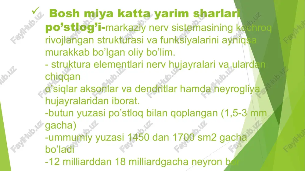 arlar po’stlog’ining muayyan qismlariga bevosita bog’langan. yadrolari ta’sirlanganda katta yarim sharlar po’stlog’ining faqat cheklangan qismlaridagi elektr faolligi o’zgaradi.(birlamchi javoblar kelib chiqadi). elektr faolligi o’zgarish davri 1-6m/sek. nospetsifik yadrolari-signallarni ko’pincha po’stloq ostidagi yadrolarga o’tkazadi, bu yadrolardan esa impulslar yarim sharlar po’stlog’ining turli qismlariga kiradi. yadrolari ta’sirlanganda elektr faolligiga ta’sir etadi katta yarim sharlar po’stlog’ining keng sohalarida faollashish reaksiyasi yuzaga keladi. elektr faolligi o’zgarish davri 10-50 m/sek. miyacha-miya o’zani va markaziy nerv sistemasining oliy bo’limlari po’stloq ostidagi yadrolar va bosh miya katta yarim sharlari po’stlog’ining reflektor reaksiyalarini yuzaga chiqarishda ahamiyatli. organizmdagi barcha murakkab harakatlarni,ixtiyoriy harakatlarni uyg’unlashtirishda qatnashadi miyacha yarimsharlari oldingi va orqa bo’laklarga ajratadi. miyacha po’stlog’i 3 qavat; yuza-molekulyar,purkine,ichki granulyar qavatlaridan iborat. miyyacha asosinini tashkil etuvchi oq moddasida kulrang modda to’plamlari-miyacha yadrolari bor.bu yadrolar orqali miyacha orqa miya miya o’zani va katta miya po’stlog’i bilan funksional aloqada bo’ladi. har bir yarimsharda-tishsimon, probkasimon,sharsimon(orqa oyoqlarga javob beruvchi) yadrolar o’rta qismida-chodir yadrolari mavjud. miyachani olib …