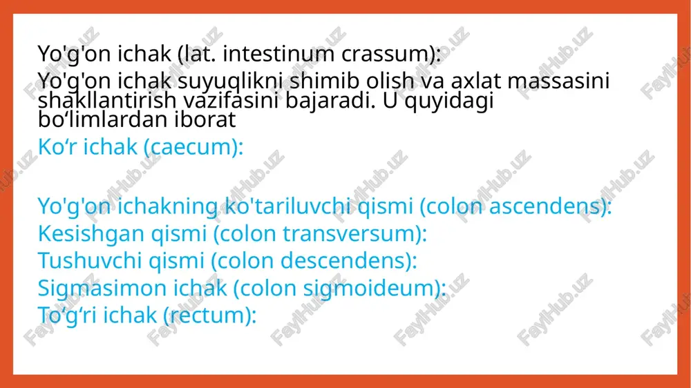 yogon ichak va ingichka ichak tekshirish usullari - Page 4