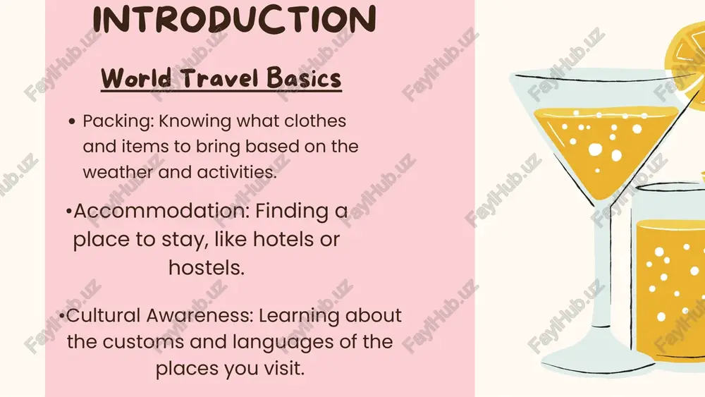 world travel basics - Page 4
