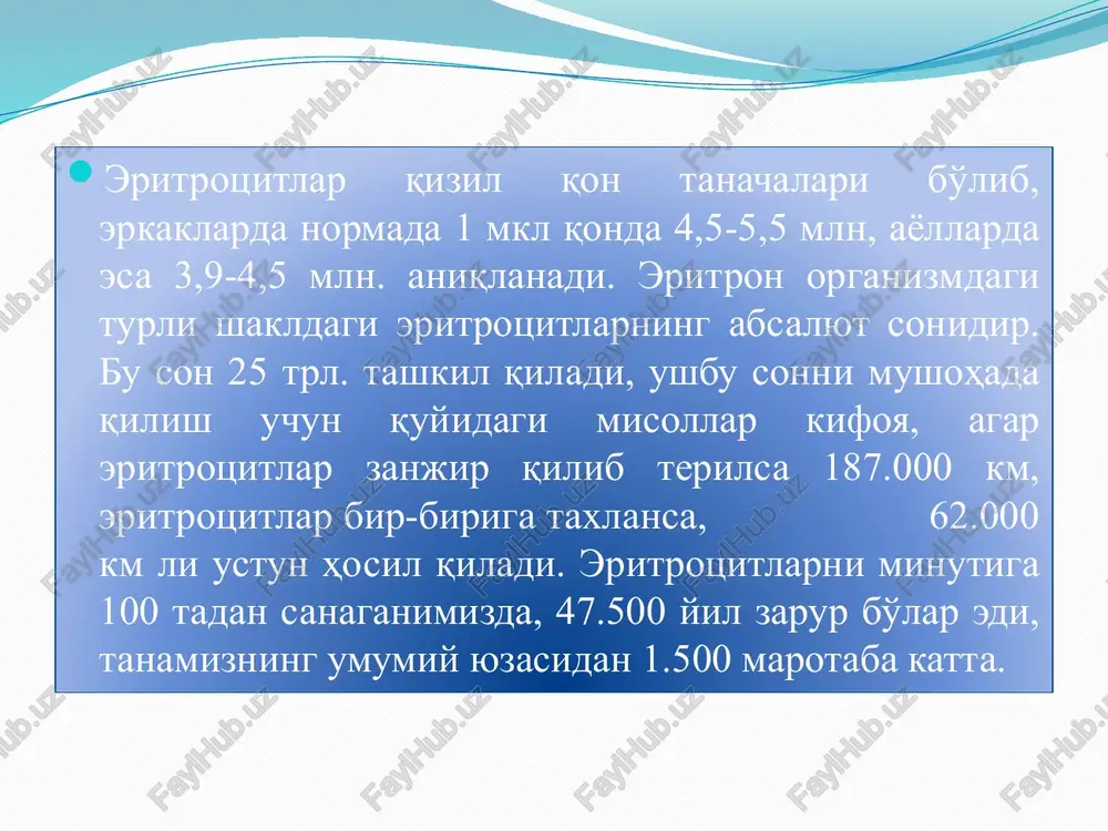 'tganligidan dalolat beradi. eritropoez eritrotsitlarni hosil bo'lishida avval gemotsitoblastlar, ulardan eritroblastlar, eritroblastlardan eritrotsitlar hosil bo'ladi. qizil qon tanachasi kuniga 200-250 mlr. yoki soatiga 10 mlr. hosil bo'ladi, ya'ni barcha eritrotsitlarni 0,8% ni tashkil qiladi. eritroblastlar o'zida gemoglobin ushlamaydi, razmeri juda katta bo'lib, 20-25 mkm gacha bo'ladi. ularda katta yadro va nozik bazofil tsitoplazma bo'ladi, yadrosi esa xromatin ipchalari bilan o'ralgan bo'lib, yadroda bitta yoki bir nechta nukleollar saqlanadi. eritroblast tsitoplazmasida esa donadorlik bo'lmaydi, shu bilan birga gemoglobin xam uchramaydi. eritroblastlarda dnk, rnk va lipidlar sintez qilinadi. bular esa faqat retikulotsitlarda saqlanib qoladi. etilgan eritrotsitlarda esa bularni birortasi ham bo'lmaydi. eritroblast kariokinez yo'li bilan ko'payadi. muhitga qarab: eritroblastni rivojlanishi normoblastik yoki megaloblastik eritropoez kuzatiladi. normoblastik eritropoez ushbu eritropoez odamlarda postnatal davrda qon hosil bo'lishni yagona fiziologik tipi bo'lib, normada eritroblastlardan pronormoblastlar, ulardan normoblastlar, normoblastlardan esa normotsitlar xosil buladi. pronormoblast genetik va morfologik jihatdan eritroblastga o'xshab ketadi, lekin o'lchamiga ko'ra 12-18 mkm, …