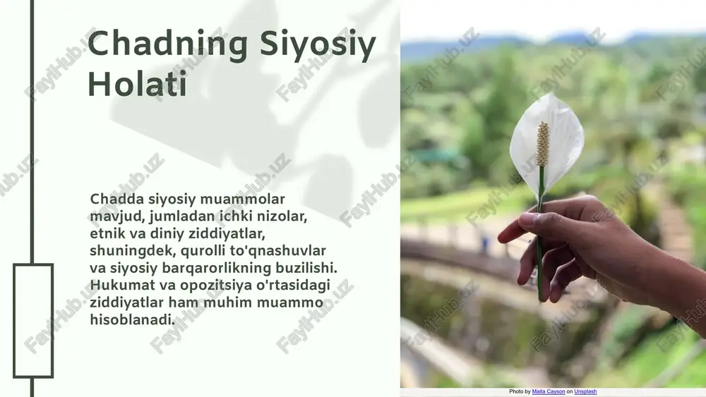 chad davlati siyosiy holati va tuzilishi - Page 4