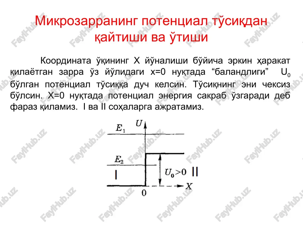 mikrozarra ishtiroki - Page 4