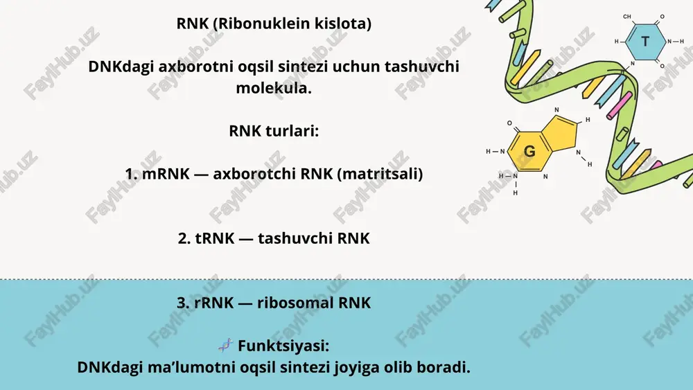 irsiyatning molekulyar asoslari - Page 4