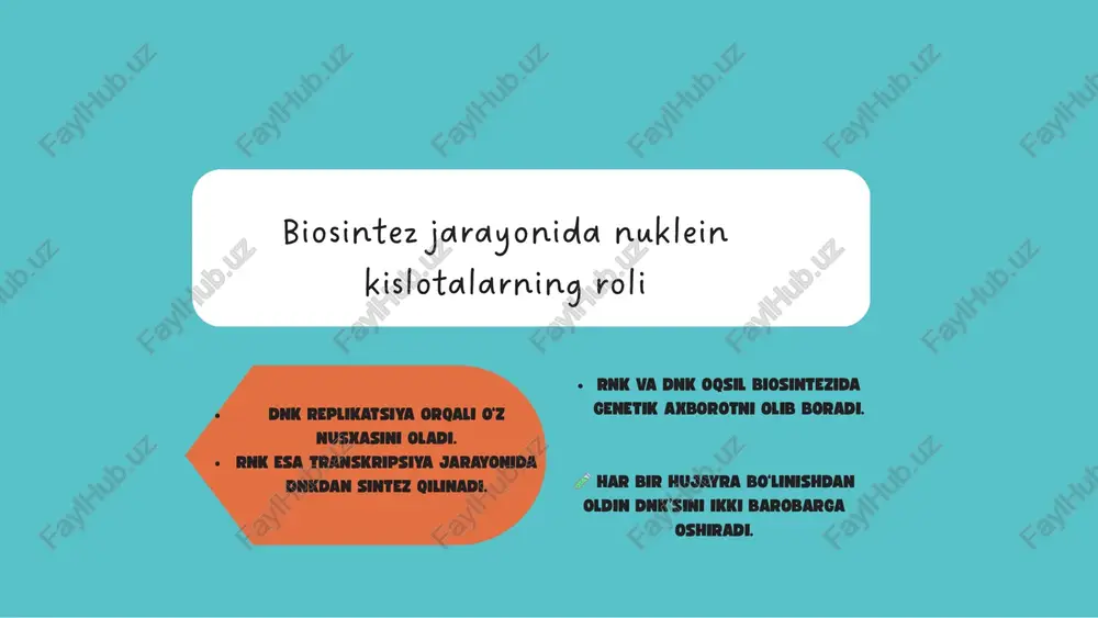 irsiyatning molekulyar asoslari - Page 4